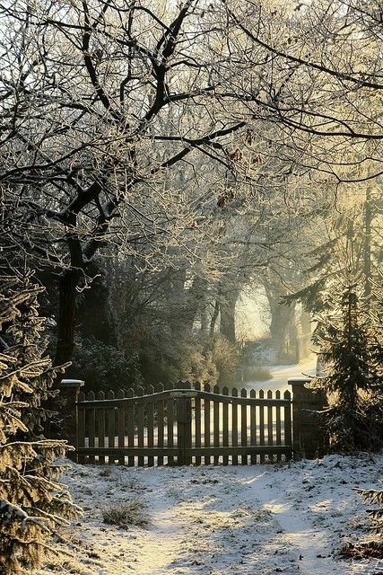 the adventures of tartanscot™: "Snow. White . . . " Forest Driveway, Perimeter Fencing, Black Gate, الفن الرقمي, Victoria Station, Snowy Trees, Winter Love, Winter Light, Hello Winter