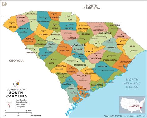 South Carolina Travel, Palmetto State, America Map, County Map, Pineapple Upside, Family Vacation Destinations, Teaching History, Usa Map, State Map