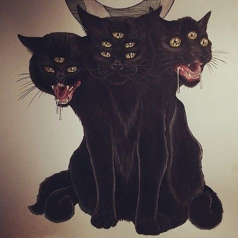 3 headed cat. Art Sinistre, Kitty Tattoos, Evil Cat, Black Cat Tattoos, Creepy Cat, Art Noir, Art Mignon, Black Cat Art, Art Ancien