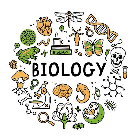 General Biology Background Design, Cute Biology Drawings, Biology Related Drawings, General Biology Design, Biology Doodle Art, Biology Portfolio Cover, Biology Front Page Design Aesthetic, Biology Art Draw Ideas, Biology Art Design