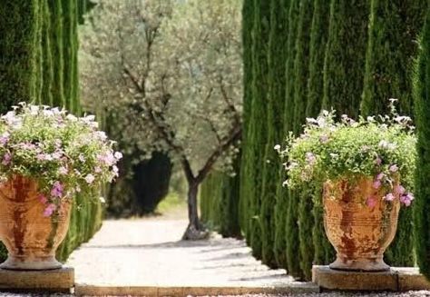 Mediterranean Backyard, Garage Entrance, Hill Garden, Cypress Gardens, Campaign Design, Garden Urns, Tuscan House, Red Hill, Italian Garden