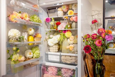 Can I Put Flowers In The Fridge? A Guide to Fridge Storage Fridge Scaping Aesthetic, Fridge Scape, Fridgescaping Aesthetic, Fridge Scaping, Dream Fridge, Flower Fridge, Flowers Last Longer, Decluttering Ideas, Fridge Decor