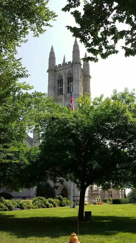 Trinity College Trinity College Connecticut, Connecticut Aesthetic, Trinity College, Cologne Cathedral, Connecticut, House Styles, Wall Art, Wall, Travel