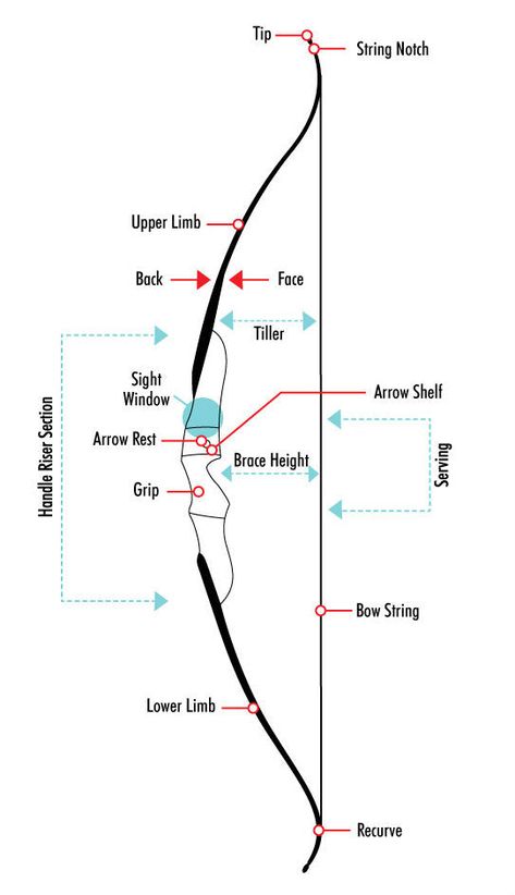 A basic guide to the parts of a bow – Lancaster Archery Supply Special Operator, Archery For Beginners, Archery Aesthetic, Archery Lessons, Archery Training, Archery Tips, Recurve Bows, Archery Bows, Archery Bow