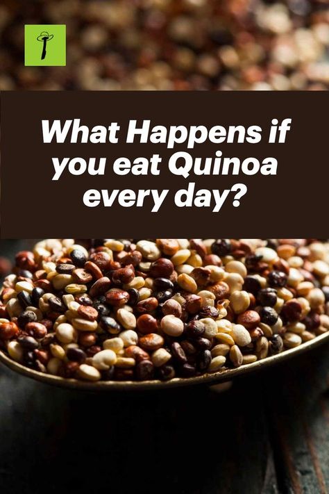 What Happens if you eat Quinoa every day? How Do You Cook Quinoa, Ways To Eat Quinoa, Quinoa For Diabetics, What To Eat With Quinoa, Is Quinoa Good For You, Black Quinoa Recipes, Quinoa Nutrition Facts, Quinoa Benefits Facts, Rice And Quinoa Recipes