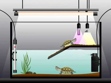 UVB Lights for Turtles Small Turtle Tank, Turtle Setup, Aquatic Turtle Habitat, Turtle Tank Ideas, Aquatic Turtle Tank, Turtle Tank Setup, Turtle Tanks, Turtle Basking Platform, Turtle Enclosure