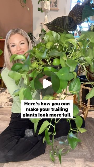 Indoor Vine Plants, Indoor Vines, Easy Care Houseplants, Plant Care Houseplant, Plant Hacks, Balcony Plants, Pothos Plant, Trailing Plants, New Roots