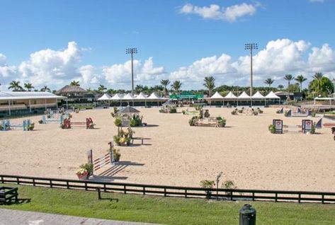 Horse Jumping Arena, Preppy Island, Jumping Arena, Equestrian Arena, Arena Footing, Luxury Equestrian, Equestrian Stables, Horse Arena, Horse Jumps