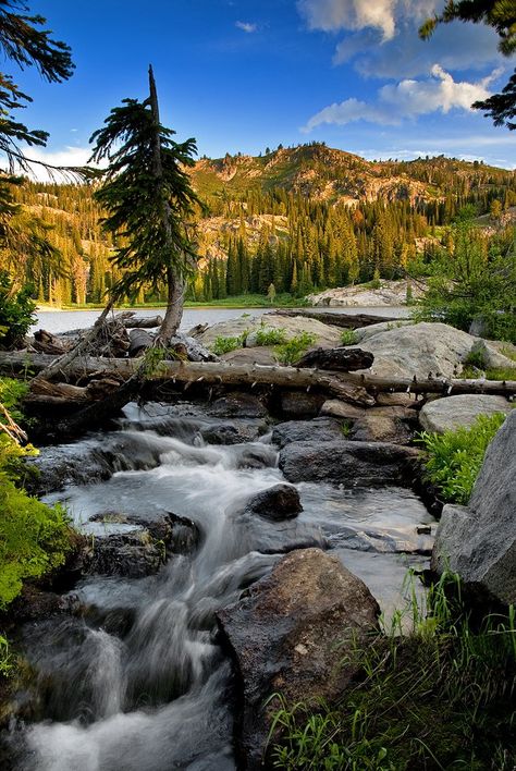 The lake and surrounding forestry are insanely picturesque. Idaho Scenery, Cascade Idaho, Fall Foliage Road Trips, Fall Scenery, Mccall Idaho, San Antonio River, Leaf Peeping, Vacation Locations, Traveling Tips