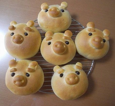 Bread rolls Pig Bread, Cute Pigs, Fun Kids Food, Bread Rolls, Little Pigs, Food Humor, Creative Food, Cute Food, Pigs