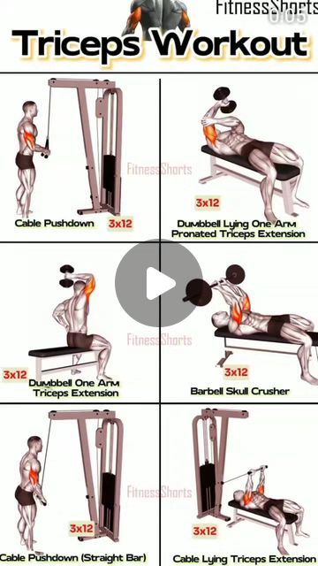 Chest Workout Gym, Workouts Chest, Exercise Chest, Chest Exercise, Dumbbell Fly, Arnold Schwarzenegger Bodybuilding, Chest Day, Schwarzenegger Bodybuilding, Gym Boy