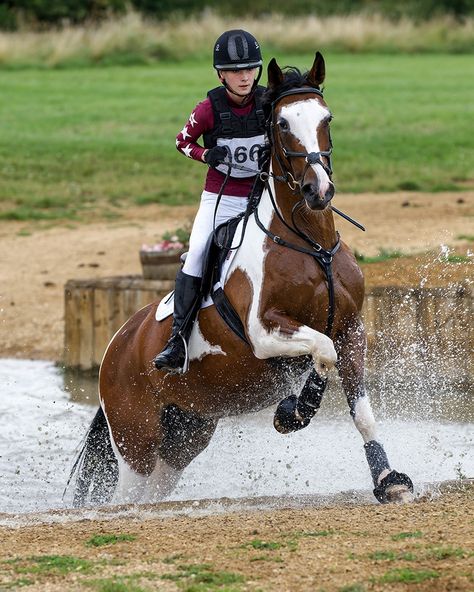 Another catch-up of portrait-oriented images to have sold from last Saturday's H&P Equine Events Unaffiliated One Day Event at the ever-fabulous Milton Keynes Equestrian Centre. Massive thanks to everyone who has persisted through the ordering issues. Touch wood, we seem to be out the other side of it now 🫶🐴📸 Cross Country Equestrian, Horse Paddock, Horse Images, Cross Country Jumps, Funny Horse Pictures, Show Jumping Horses, Equestrian Aesthetic, Eventing Horses, Horse Inspiration