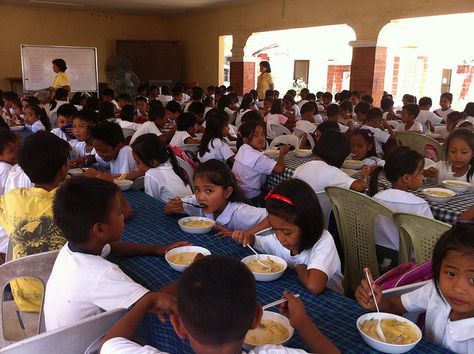 Feeding Program, Lions Club, Paper Background Design, Paper Background, Cardinals, Background Design, First Day, Programming, Philippines