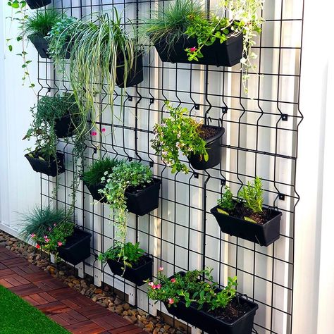 Vertical Fence Garden, Herb Garden On Fence, Herb Garden Fence, Vege Garden Design, Hanging Vegetable Garden, Secret Garden Aesthetic, Gardens Design Ideas, Outdoor Trellis Ideas, Edible Herbs