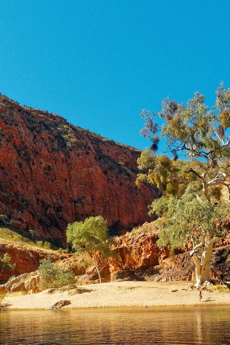 Australian Landscapes, Spring Hiking, The Gorge, Alice Springs, Mural Ideas, Spring Trip, Red Walls, Day Hike, Reference Photos