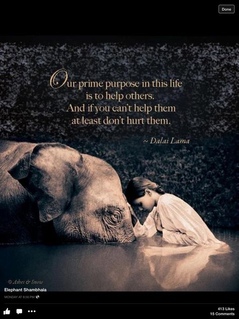 "Our prime purpose in this life is to help others. If you can't help them, at least don't hurt them." -- Dalai Lama. Diet Restrictions, Fina Ord, Bypass Surgery, Counting Calories, Gastric Bypass, Help Others, An Elephant, Dalai Lama, A Quote