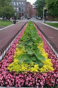 Unity In Landscape Design, Commercial Landscape Design Entrance, Commercial Landscape Design Ideas, Road Landscape Design, Fall Landscaping Front Yard, Commercial Landscape Design, Fall Landscaping, Commercial Landscape, Annual Garden