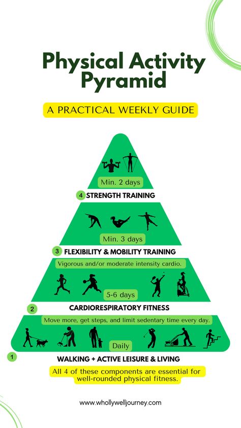 Physical Activity Pyramid, Pyramid Training, Gym Workout Plan For Women, Anaerobic Exercise, Bodyweight Training, Increase Stamina, Exercise Program, Workout Plan For Women, Heath And Fitness