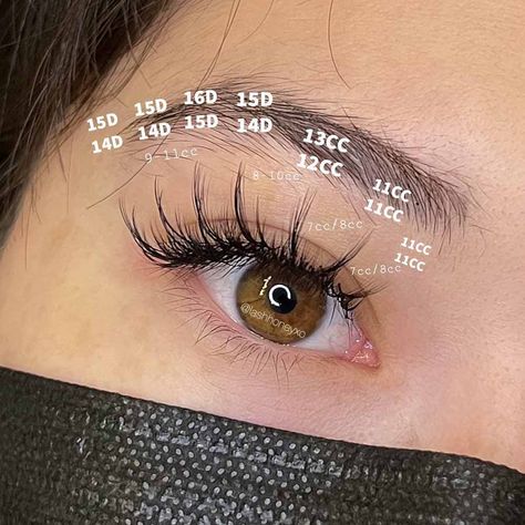 What Are Anime Lash Extensions? More About the Trend Manga Lashes Extensions Map, Anime Style Lash Extensions, Anime Lash Map, Anime Lash Extensions Mapping, Anime Eyelash Extensions, Anime Lash Extensions, Lash Content, Anime Lashes, Lash Maps