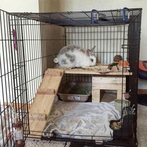 Bunny House Diy Bunny Cage, Indoor Rabbit House, Diy Rabbit Cage, Indoor Rabbit Cage, Pet Rabbit Care, Bunny Hutch, Bunny Room, Pet Bunny Rabbits, Indoor Rabbit