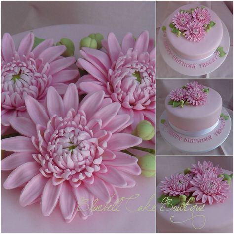 Pink Gerbera Cake Gerbera Cake, Flori Din Lut, Flori Fondant, Fondant Cake Tutorial, Frosting Flowers, Sugar Paste Flowers, Sugar Flowers Tutorial, Fondant Flower Tutorial, Pink Gerbera