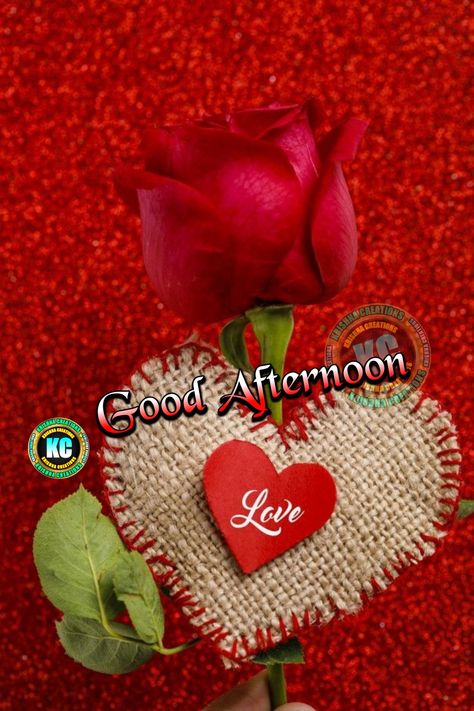 Good afternoon vishes whatsapp facebook status image HD Good Afternoon Images Hd, Good Afternoon Images, Afternoon Images, Evening Pictures, Bow Pillows, Jesus Videos, Afternoon Quotes, Night Greetings, Buddhist Teachings