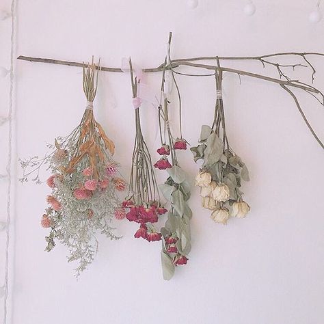 Bouquet Champetre, Flowers Hanging, Hang On, Room Idea, Black Mamba, Arte Floral, Flower Aesthetic, White Wall, My New Room