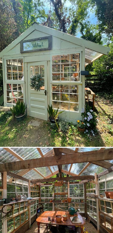 Greenhouse With Old Doors, Green House Out Of Windows, Old Window Greenhouse Diy Recycled Door, Used Window Greenhouse, Diy Green House With Old Windows, Greenhouse With Windows, Diy Greenhouse Windows, Greenhouse Ideas With Old Windows, Diy Greenhouse Old Windows