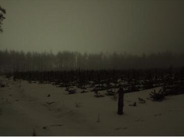 Nature, Snow Dreamcore, Dark Forest Aesthetic, Creepy Core, Misty Grey, Liminal Spaces, Gray Winter, Dark Paradise, Winter Scenery