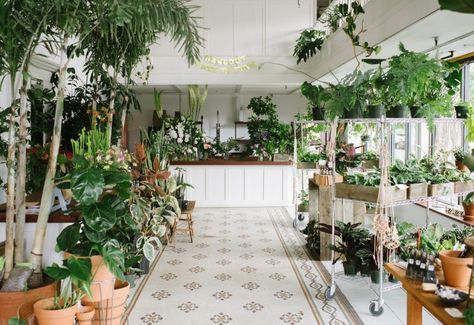 Shopper’s Diary: A Drugstore-Vintage Vibe at Solabee Flowers in Portland - Gardenista Flower Shop Interiors, Plant Aesthetic, Tree Shop, Trendy Flowers, Same Day Flower Delivery, Buy Plants, Floral Shop, Garden Shop, Plant Nursery