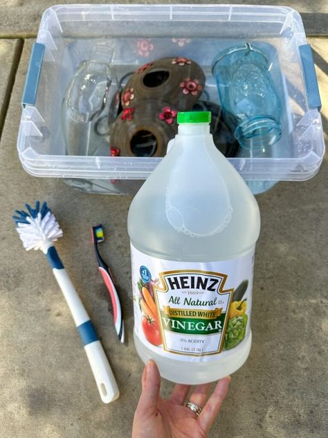 How to Clean A Hummingbird Feeder + Maintenance Tips ~ Homestead and Chill