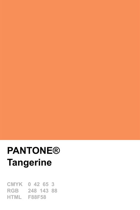 Pantone 2015 Tangerine Tangerine Pantone, Pantone Cmyk, Pantone Orange, Pantone 2015, Pantone Colours, Pantone Swatches, Pantone Palette, Pantone Colour Palettes, Deco Studio