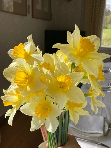 Boquette Flowers, Yellow Daffodils, Daffodil Flower, Nothing But Flowers, Flower Therapy, Pretty Plants, Fotografi Potret, Birth Flowers, Flowers Nature