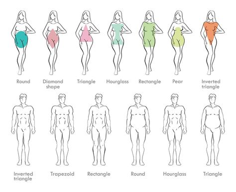 Body Types Chart, Body Shape Chart, Female Body Types, Mens Body Types, Male Body Drawing, Body Chart, Body Type Drawing, Hourglass Body Shape, Body Shape Drawing