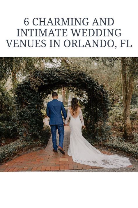 6 Charming and intimate wedding venues in Orlando, Florida. #weddingvenues #intimateweddings #intimateweddingvenues #weddingday #weddingvenue #smallwedding #orlandowedding Affordable Wedding Venues Florida, Florida Wedding Venues Indoor, Florida Spring Wedding, Garden Wedding Florida, Small Wedding Venues Florida, Micro Wedding Florida, Central Florida Wedding Venues, Small Florida Wedding, Wedding Venue Florida