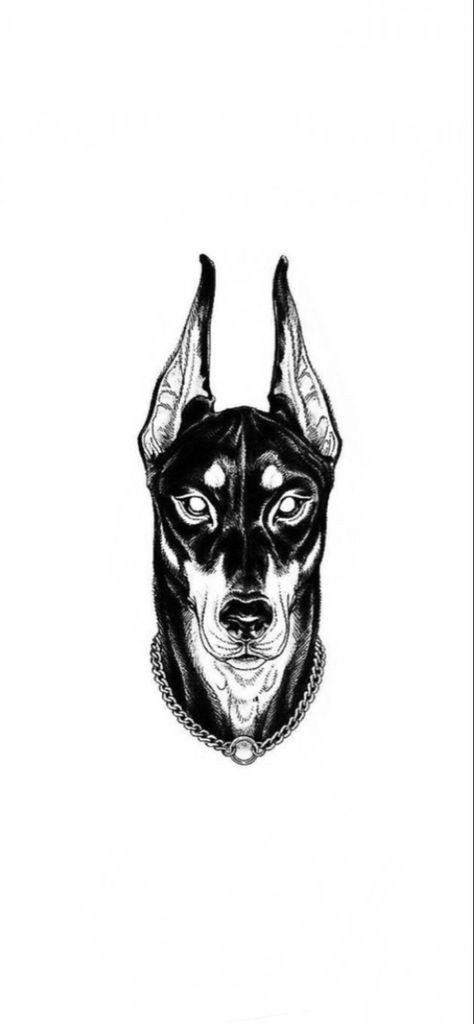 Drawings Of Dobermans, Doberman Pinscher Tattoo Ideas, Doberman Tattoo Design Line, Dober Man Tattoo, Dog Tattoo Doberman, Angry Doberman Tattoo, Doberman Tattoo Small, Doberman Skull, Doberman Pinscher Tattoo