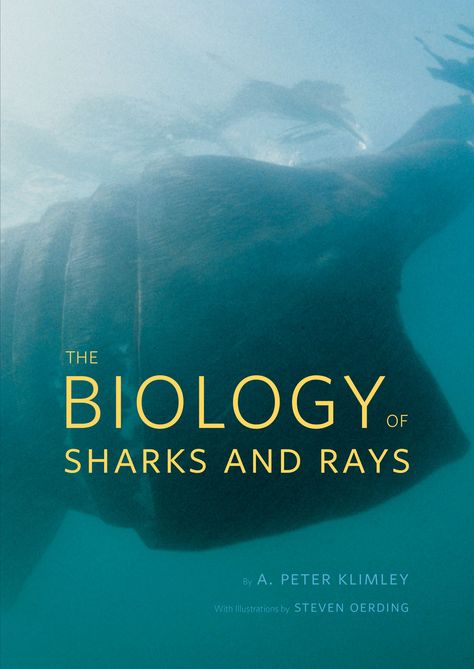 The Biology of Sharks and Ray - A. Peter Klimley - New Books Section - 567.3 K65B 2013 Marine Biology Degree, Shark Pictures, Conservation Biology, Muscle Anatomy, The University Of Chicago, Award Winning Books, Marine Biology, Shark Week, Field Guide