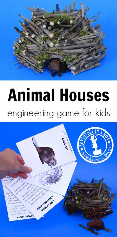 Using this nature-inspired engineering game for kids, you will learn about ten animals and the amazing houses they build, then complete the engineering challenges and build your own versions of these dwellings! #stem #stemactivities #printablegame #printable #homeschool #stemforkids #nature Engineering Challenges, Animal Activities For Kids, Forest School Activities, Steam Ideas, Engineering Activities, Amazing Houses, Nature School, Theme Nature, Steam Activities