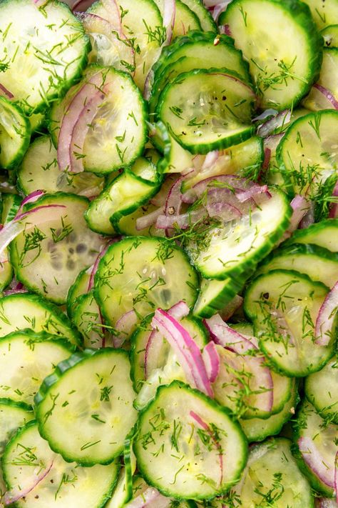 Cucumber Onion Salad with dressing on salad Cucumber Salad With Onions, Pickles Homemade Easy, Salad With Dressing, Autoimmune Protocol Diet Recipes, Pickles Homemade, Zucchini Quinoa, Cucumber Onion Salad, Greek Marinated Chicken, Cucumber Onion