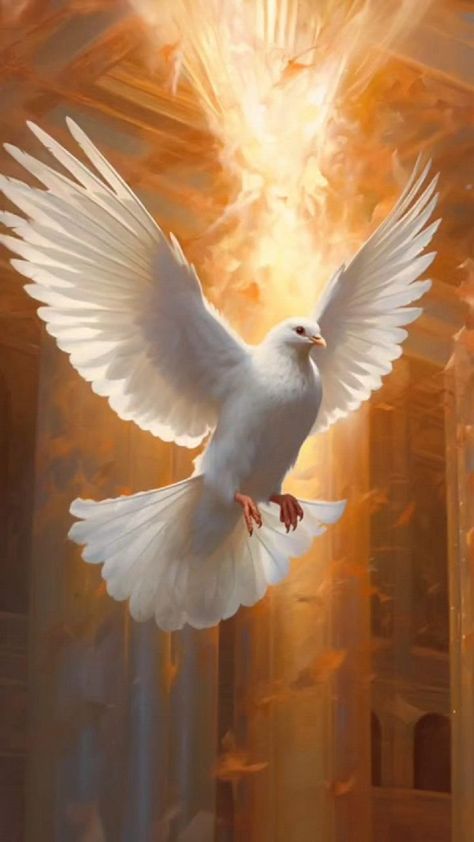 Eagle Artwork, Dove Pictures, Biblical Marriage Quotes, Jesus Christ Artwork, Angel Wallpaper, Heaven Art, Jesus And Mary Pictures, White Dove, Religious Images