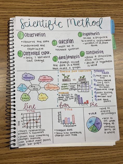 Scientific Method Notes Aesthetic, Biology Notes Scientific Method, Psych Notes Ideas, Preppy Science Notes, One Pager Ideas Aesthetic Science, One Pager Science, Biology Honors Notes, Science One Pager Examples, Biology One Pager