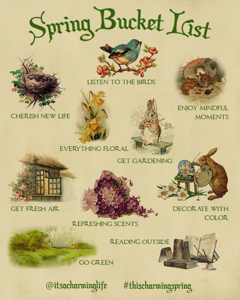 Cottagecore Spring Bucket List - Mindful Tips Spring Bucket List, Flowers Plants, Bucket List, Birds, Plants, Flowers, Green, White