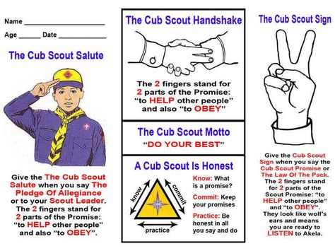 Tiger Cub Scouts Activities, Cub Scout Flag Ceremony, Cub Scout Oath, Cub Scout Motto, Lion Scouts, Scout Salute, Cub Scout Games, Sea Scouts, Cub Scouts Wolf