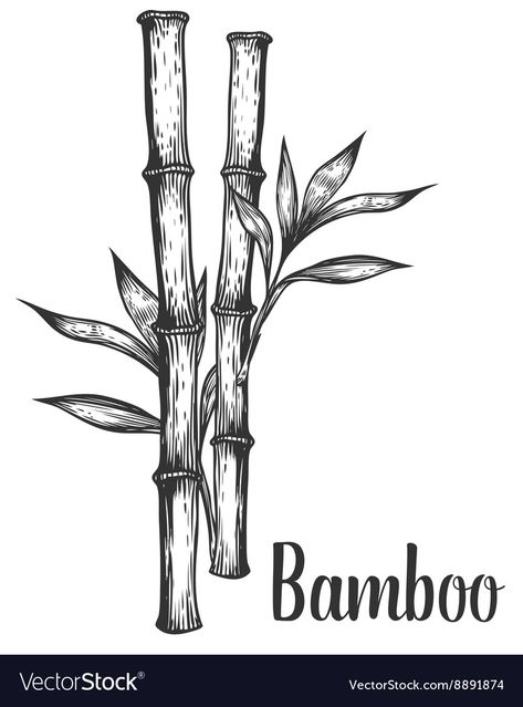 Bamboo Drawing, Stop Frame Animation, Hatch Drawing, Chinese Ornament, Plant Sketches, Leaf Vector, Bamboo Tattoo, Bamboo Plant, Japanese Bamboo