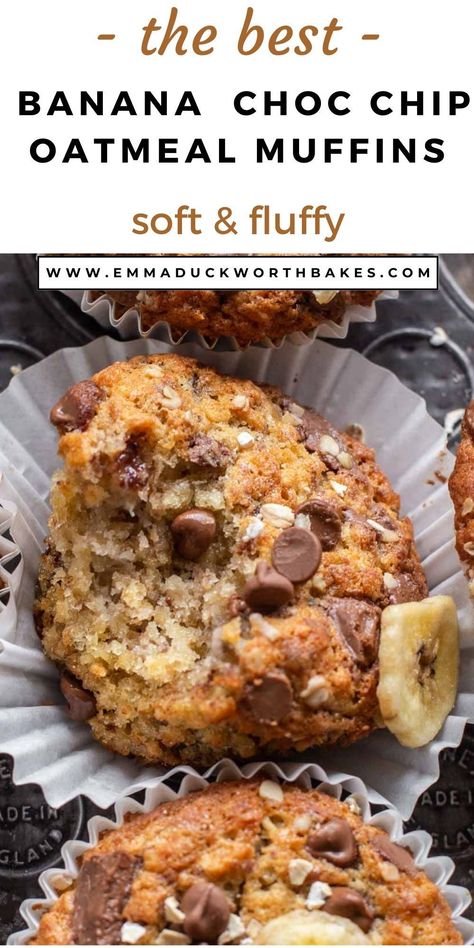 Easy to make Banana Oatmeal Chocolate Chip Muffins are perfect for a tasty afternoon snack. Tender, flavourful and moist- these muffins are delicious! Oatmeal Banana Chocolate Chip Muffins, Banana Oatmeal Chocolate Chip Muffins, Oatmeal Banana Muffins, Fluffy Oatmeal, Banana Oatmeal Chocolate Chip, Oatmeal Chocolate Chip Muffins, Choc Chip Muffins, Banana Oatmeal Muffins, Oatmeal Banana