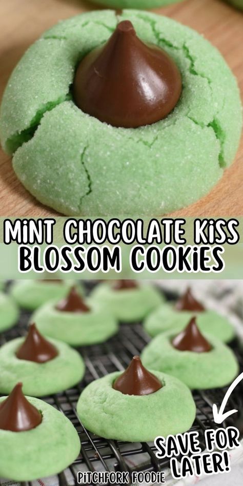 Looking for a fun and festive way to celebrate St. Patrick's Day? Try these Mint Kiss Cookies! They're puffy, minty, and green, making them the perfect holiday dessert or gift. Save this scrumptious blossom cookie recipe and make your St. Paddy's Day celebrations even more magical! Mint Kiss Cookies, Kiss Blossom Cookies, St Patricks Food, Mint Desserts, Kiss Cookies, Blossom Cookies, St Patricks Day Food, Holiday Dessert, Oatmeal Chocolate Chip Cookies