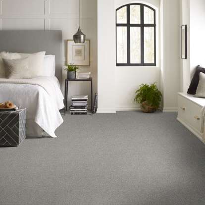 Collier Peak Carpet - Dolphin Room Scene 1 Reduce Energy Bill, Shaw Flooring, Shaw Carpet, Shaw Floors, Carpet Samples, Flooring Projects, Carpet Styles, Best Flooring, Carpet Tile