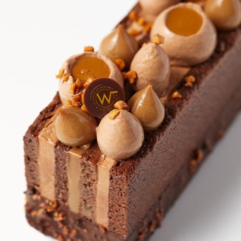 Bûche boisée - Chocolaterie Weiss Professionnels Chocolate Crispy Treats, Fine Dining Desserts, Sweet Dumplings, Butter Caramel, Dessert Presentation, Individual Desserts, Spring Desserts, Gourmet Desserts, French Desserts