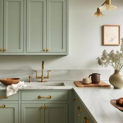 Sage Green Living Room Cabinets, Appartement Kitchen Ideas, Sage Green Kitchen Cabinets With Granite, Save Green Kitchen, Kitchen Cabinet Color Ideas For 2024, Sage Green Kitchen Aesthetic, Sage Green Kitchen Cabinets Farmhouse, Sage Green Shaker Kitchen, Kitchen Handles Ideas