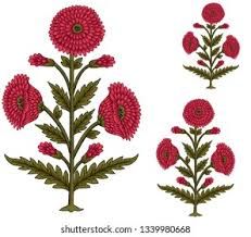 Mughal Flower Bunch Motif White Background Stock Illustration 1339980668 Mughal Flower Png, Flower Bunch Png, Mughal Butta, Gulab Flower, Mughal Flowers, Mughal Flower, Flower Hd, Floral Abstract Pattern, Mughal Art Paintings